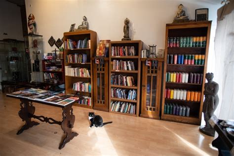 Chicago's Esoteric Hideaways: Exploring Occult Book Stores